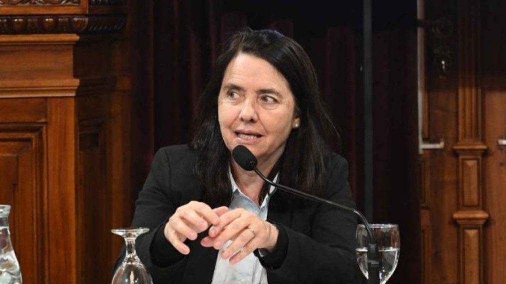 La senadora del frente Pro Libertad caus� rechazo con sus dichos sobre la atenci�n de ni�os en el Garrahan.