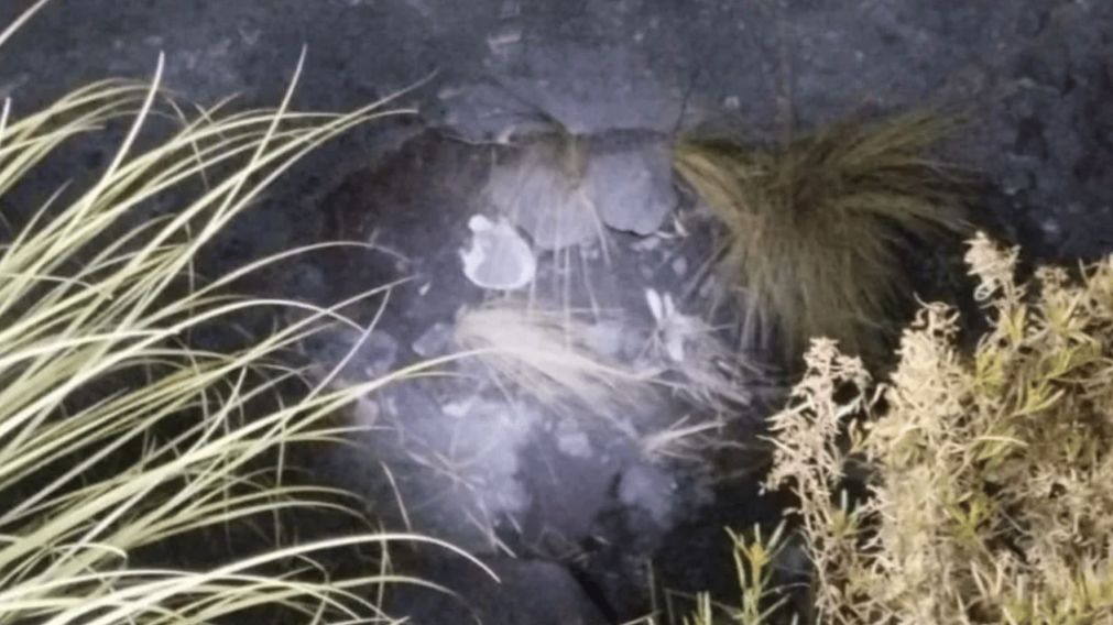 El lugar donde encontraron los huesos humanos (Gentileza Los Andes).