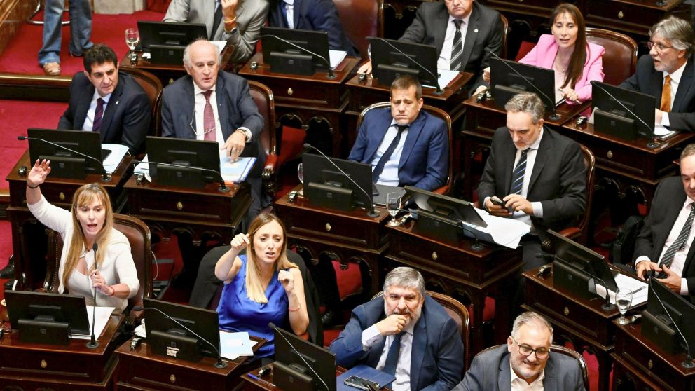 El bloque de Unión por la Patria confía en lograr dictámenes en ambos proyectos.