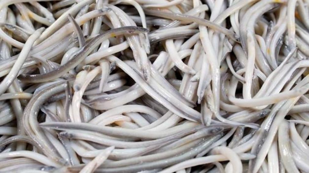 Uno de los platos más caros de España