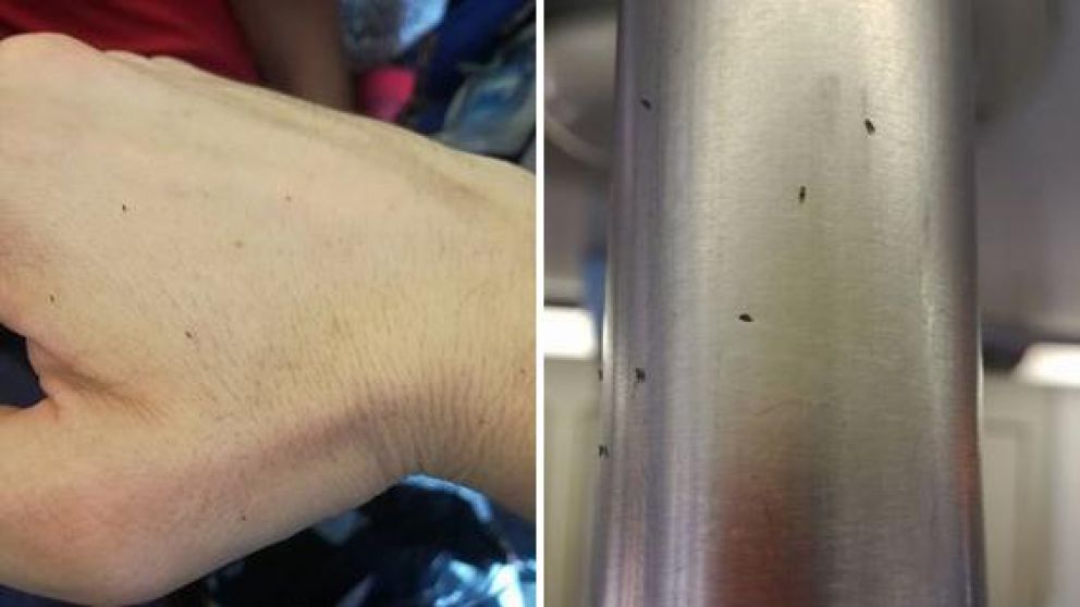 Algunas de las imágenes que envió la gente.