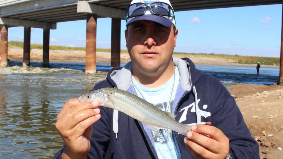 Pejerreyes chicos y medianos se dan en esta zona.