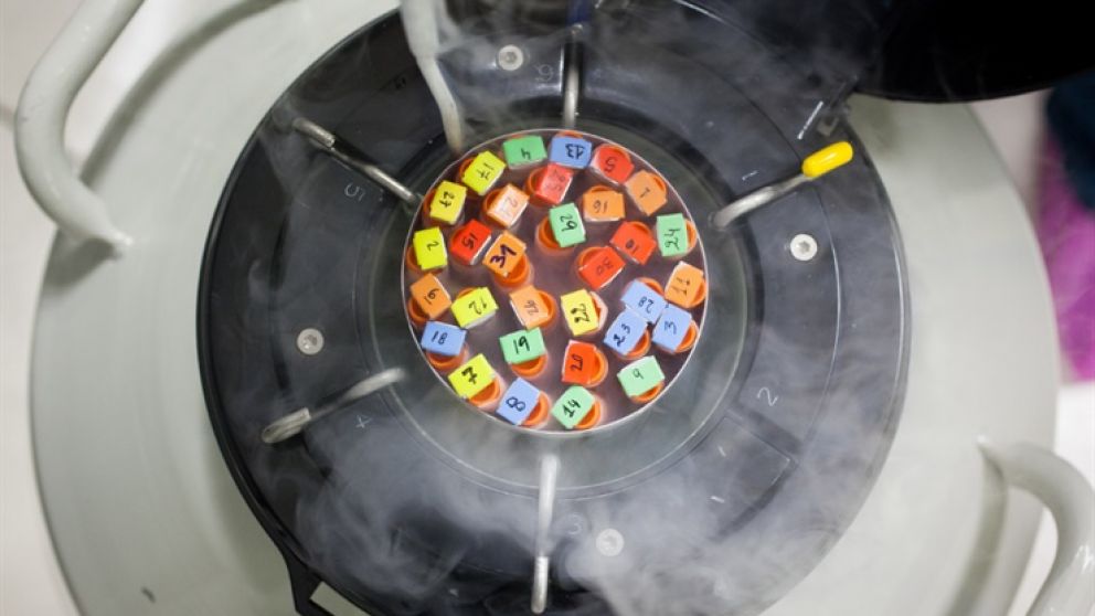 El código civil da todas las respuestas al espinoso debate.