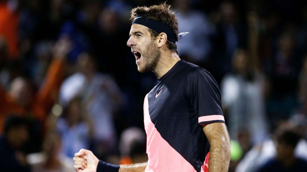 Schwartzman y Del Potro son los mejores rankeados (AFP).