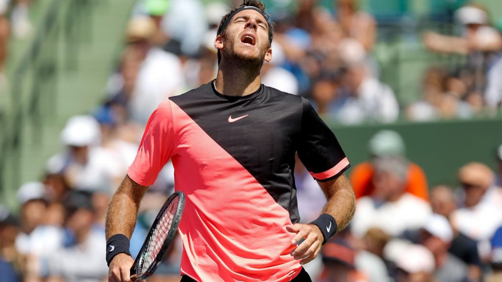 "Delpo". Ven�a de vencer a Raonic tras casi 3 horas de partido. (AFP)