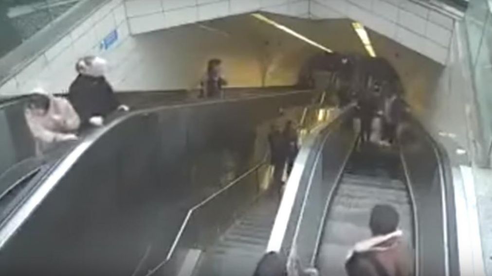 Las im�genes son escalofriantes.