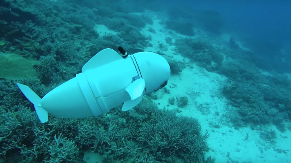 Este es el SOft robotic FIsh.