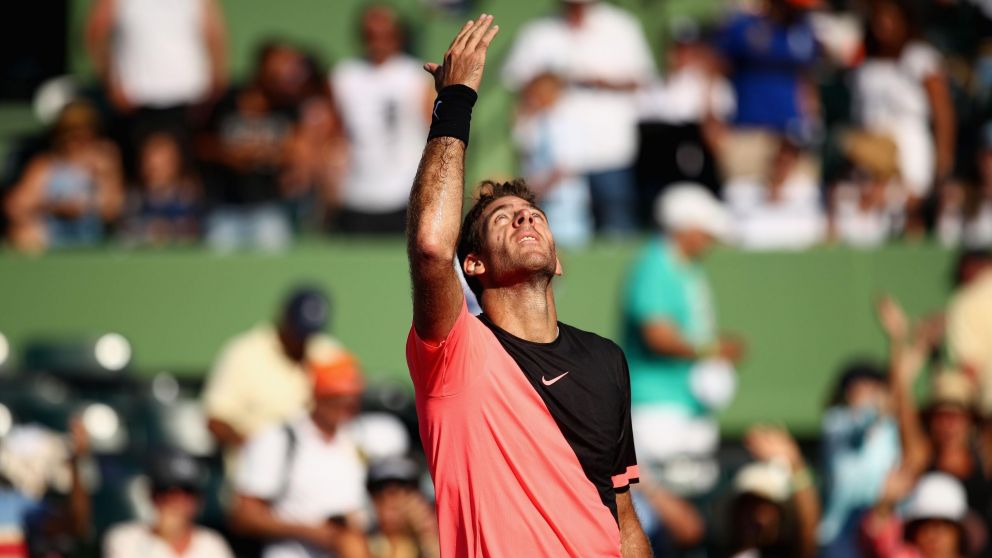Juan Martín del Potro actualmente está sexto en el ranking.(ATP)