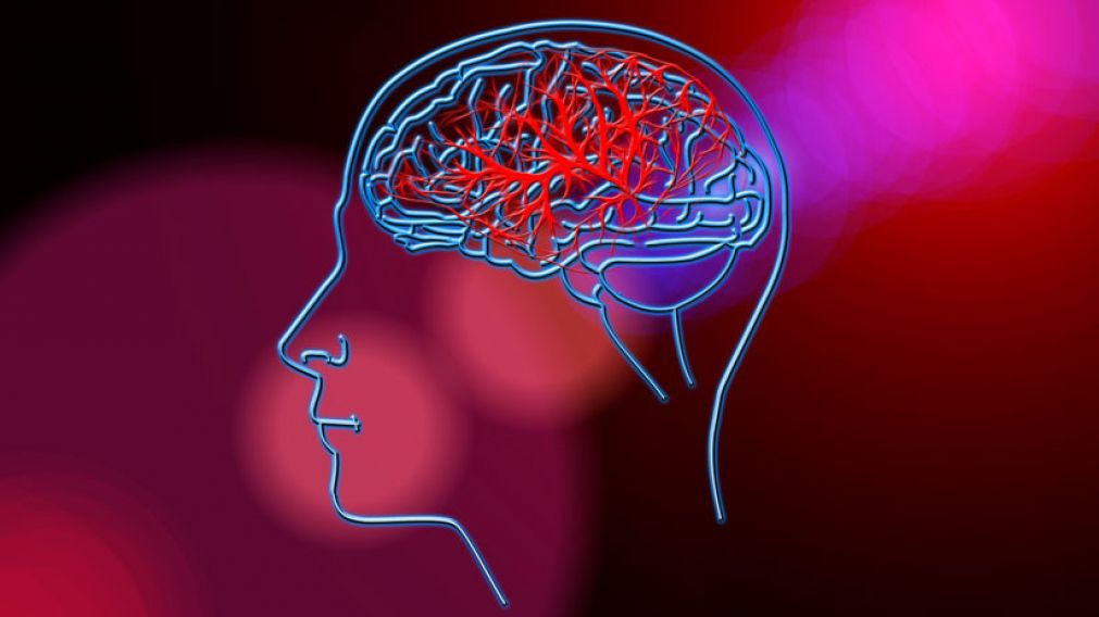 La empresa asegura que preservará el cerebro por cientos de años.