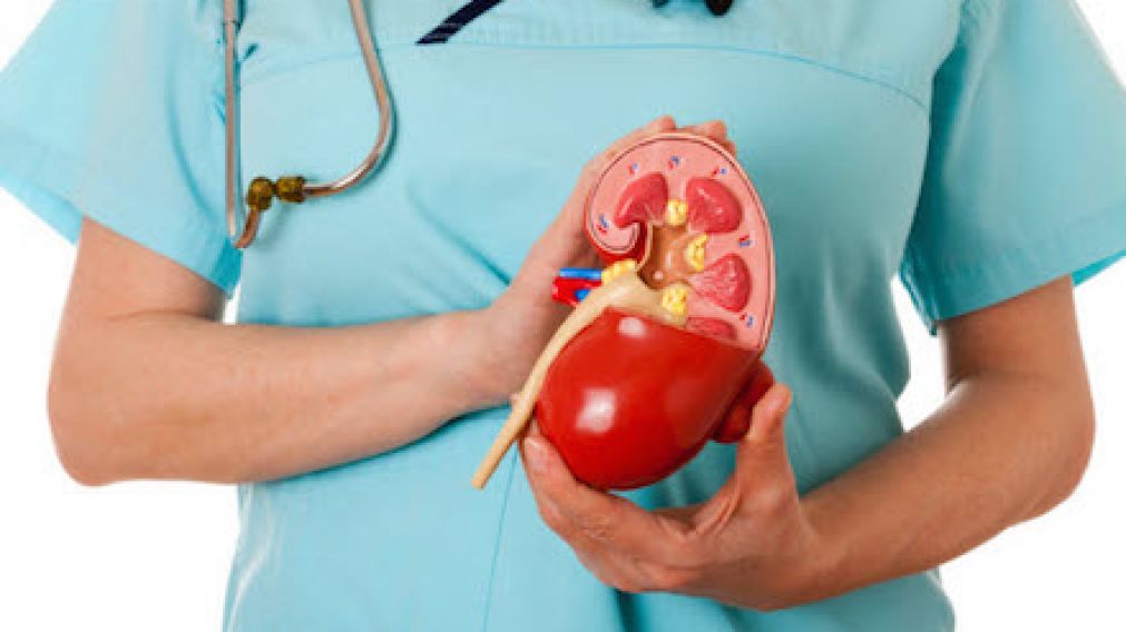 Cada vez m�s personas se animan a donar sus �rganos seg�n Incucai.