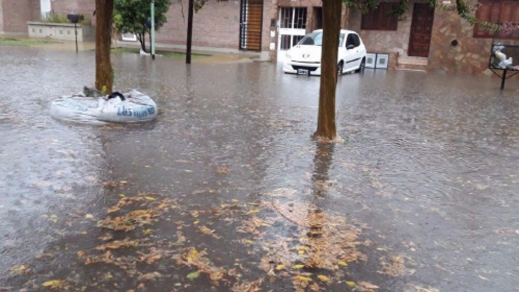 La copiosa lluvia provocó anegaciones en las calles platenses.