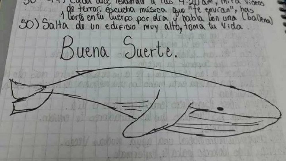 Detención de pibe en Entre Ríos frustró suicidio colectivo