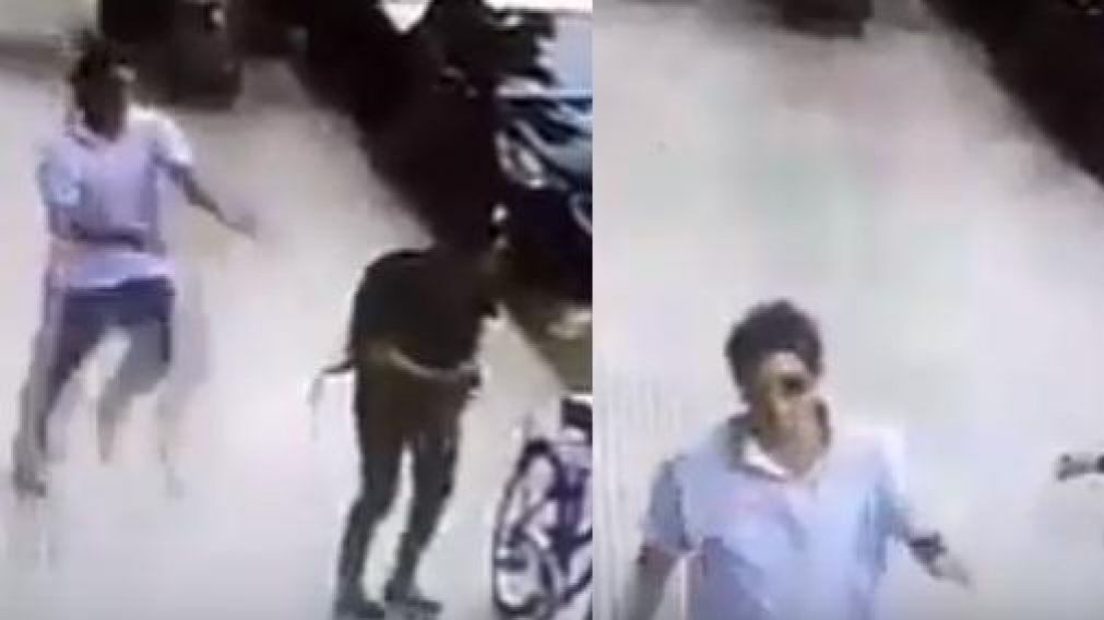 Video: "Loco de Palermo" noqueó a mujer por la espalda