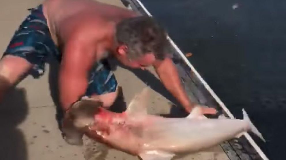 Así se daba el supuesto ataque del tiburon. (Captura).
