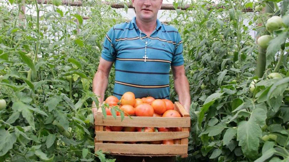 Sector amenazado por la importaci�n. 