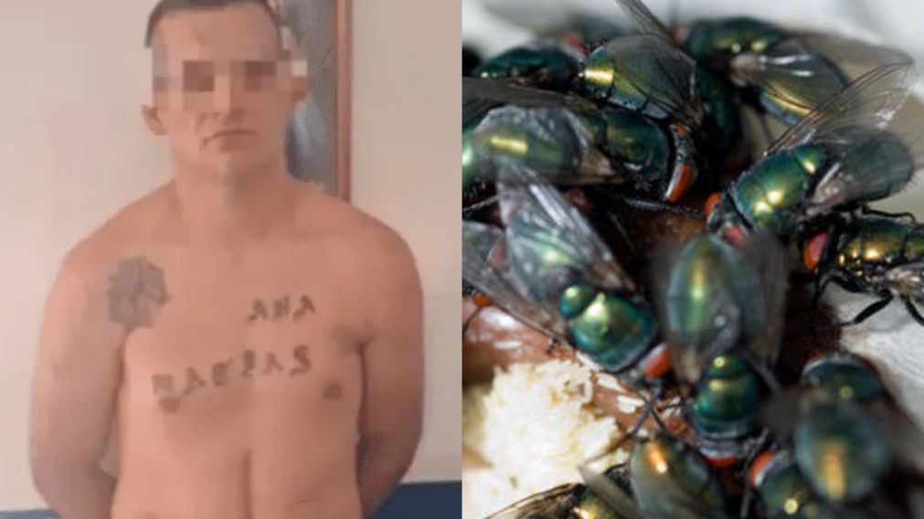 La fauna cadavérica será clave para detallar los hechos atroces que vinculan a Matías Jurudo, el presunto asesino serial.