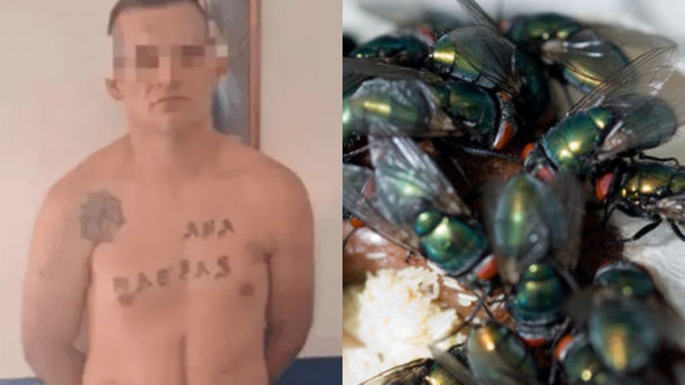 La fauna cadavérica será clave para detallar los hechos atroces que vinculan a Matías Jurudo, el presunto asesino serial.