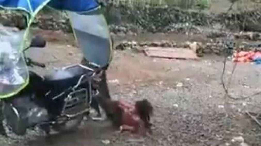 El hombre fue detenido luego que los vecinos mostraron el video a la policia.