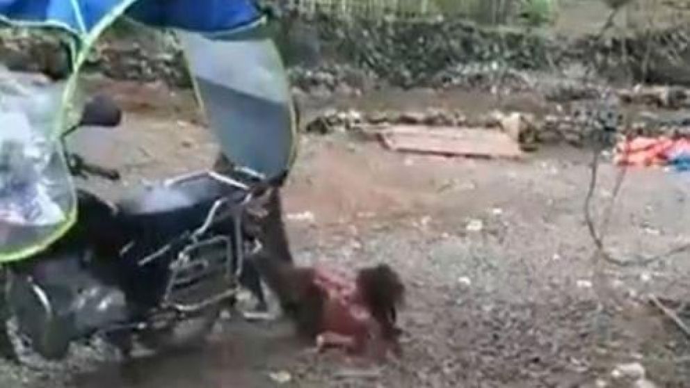 El hombre fue detenido luego que los vecinos mostraron el video a la policia.