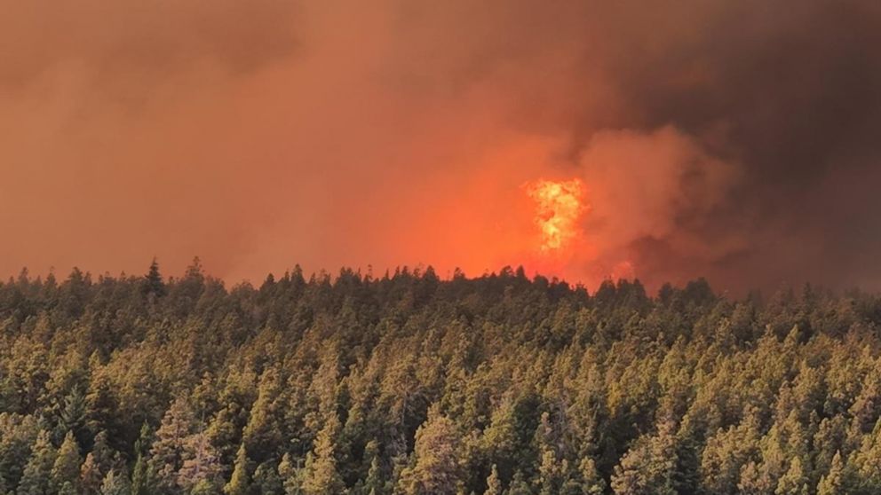 El Gobierno declara por DNU la Emergencia Ígnea en Chubut, Río Negro, Neuquén y La Pampa