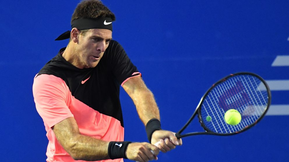 Del Potro avanzó sin inconvenientes en Acapulco (AFP)
