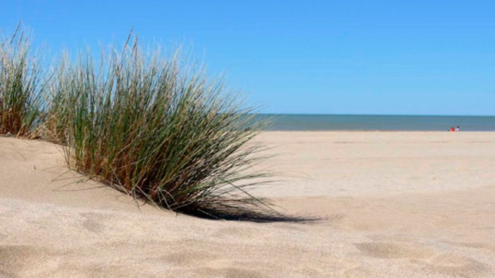 El lugar donde apareció el cráneo.