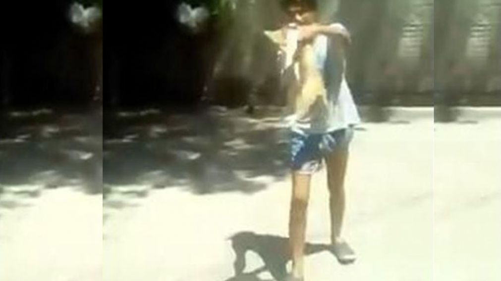 Pibito desalmado y sádico revoleó gato por encima de la medianera