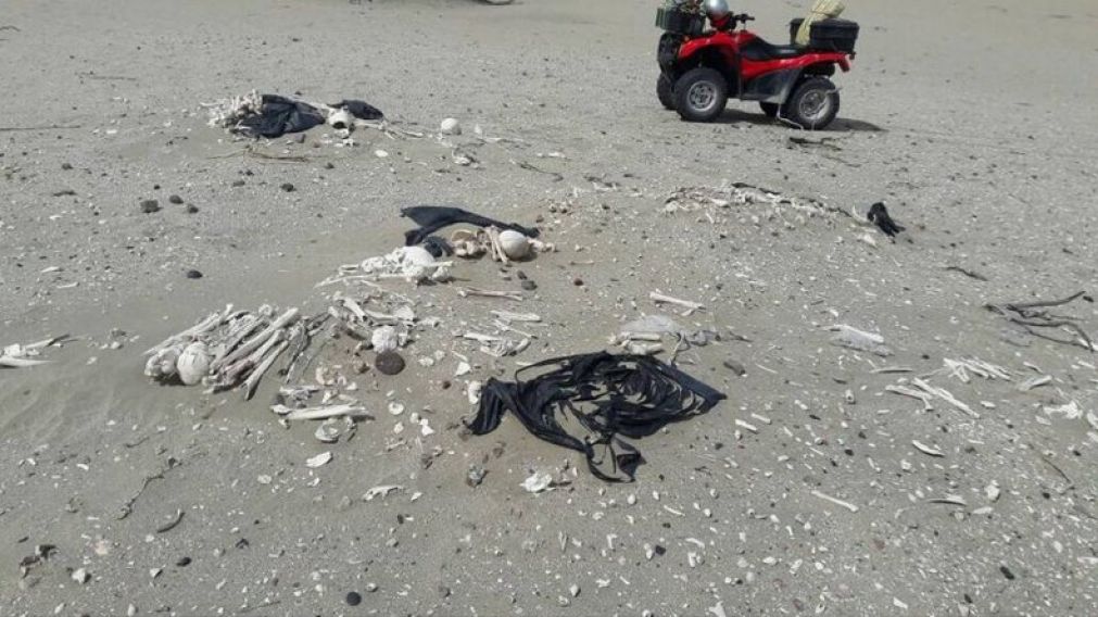 Se encontraron 20 esqueletos de m�s de 3000 a�os en Chubut