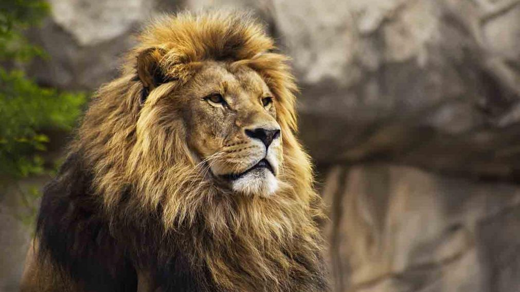 El hombre se encontraba cazando de manera ilegal en la reserva