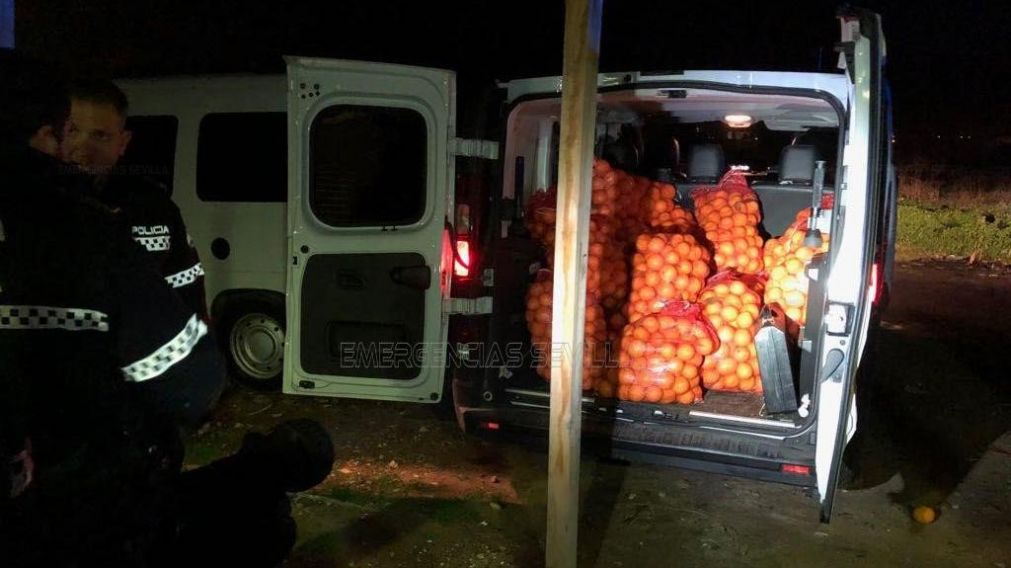Los 4 mil kilos fueron distribuidos en tres vehículos.