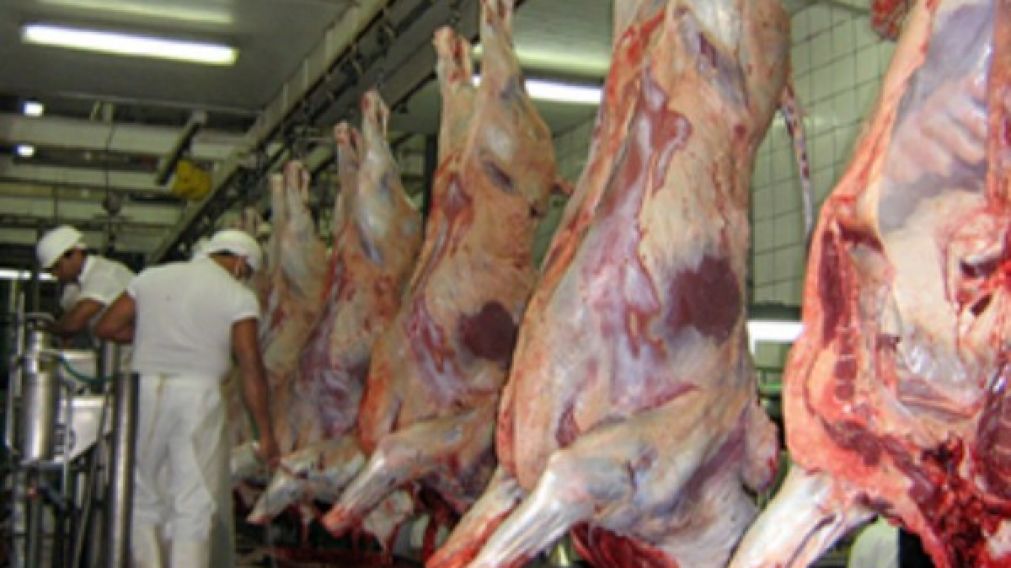La mejora en la oferta de carne no cumple las expectativas del Mercosur.