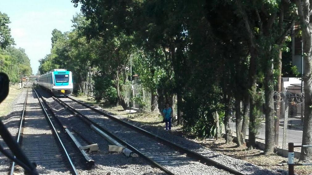 Otra vez en el Mitre: persona se arrojó a las vías del tren