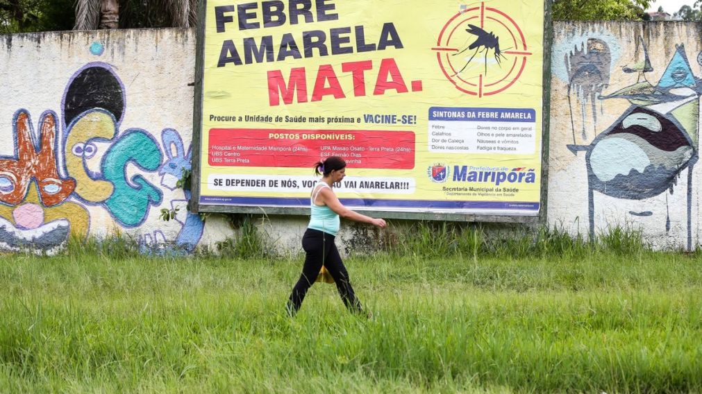 Pánico en Brasil por brote mortal de fiebre amarilla