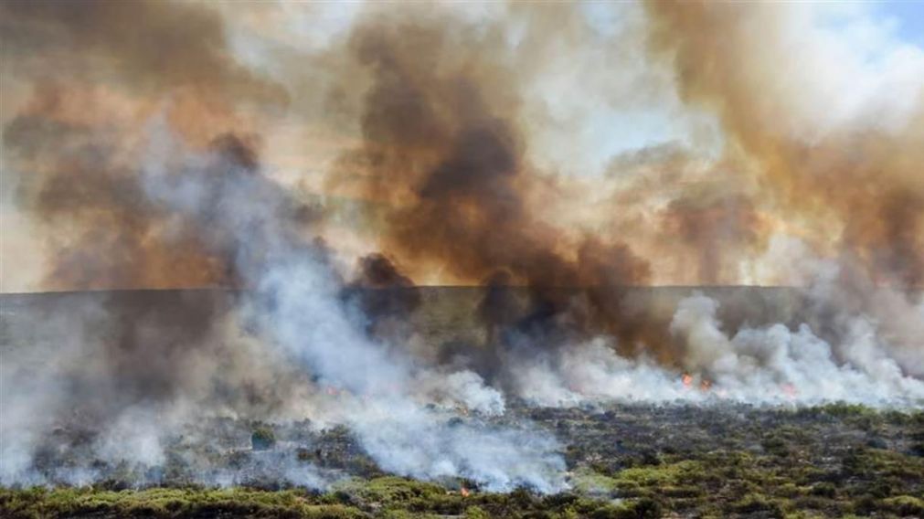 Más de 374 mil hectáreas incendiadas en La Pampa