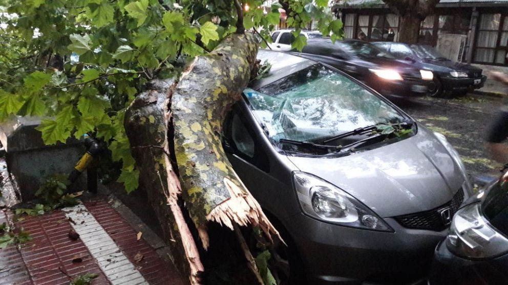 Autos destruidos. (Twitter)