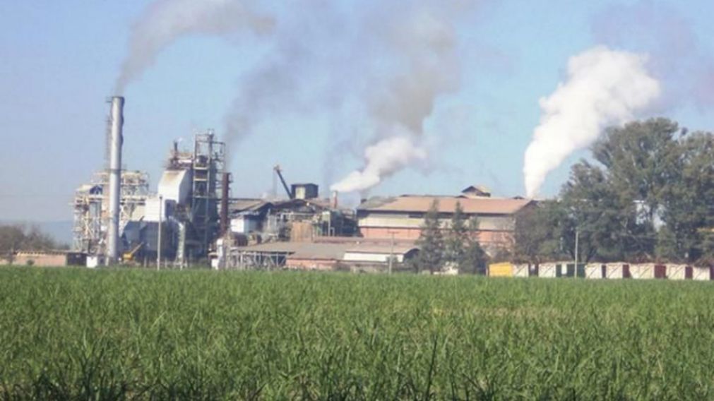 El ingenio dejar� de producir (El Tribuno).