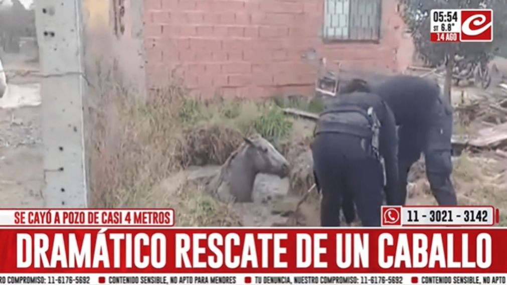 Crónica HD