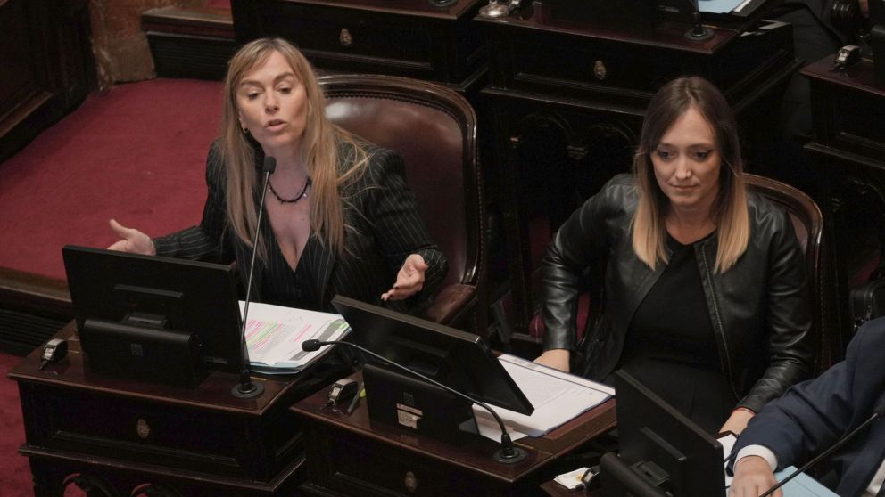 Arrancó el debate en el Senado por Ficha Limpia: a qué hora se vota. Foto: Claudio Fanchi/ NA.