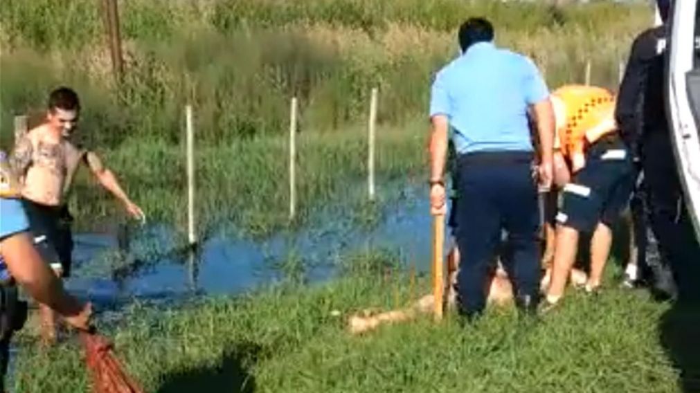 El polic�a fue duramente cuestionado por golpear al hombre indefenso.