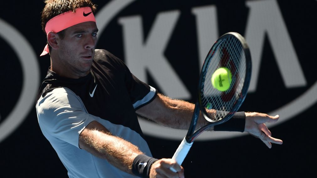 Del Potro luchó y avanzó a la tercera ronda del Abierto de Australia (AFP).