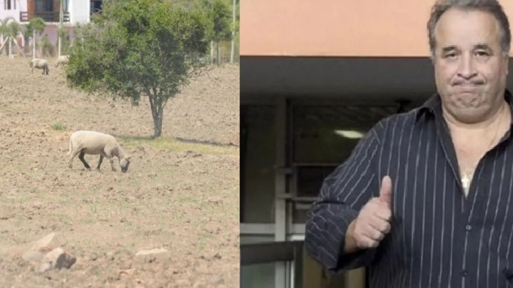 Balcedo, está todo bien. (Crónica)