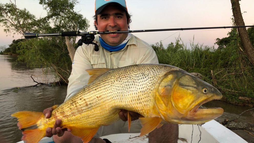 Hermoso ejemplar que, luego de su captura, fue devuelto al río.