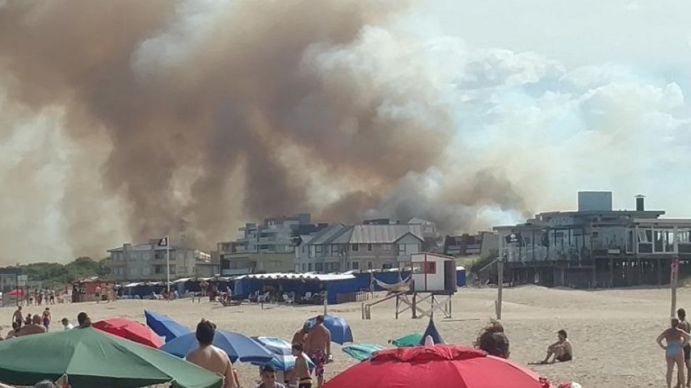 Feroz incendio devastó un bosque de Villa Gesell