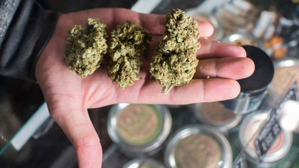 Nevada, Maine y Massachusetts también esperan unirse al grupo en breve (AFP).
