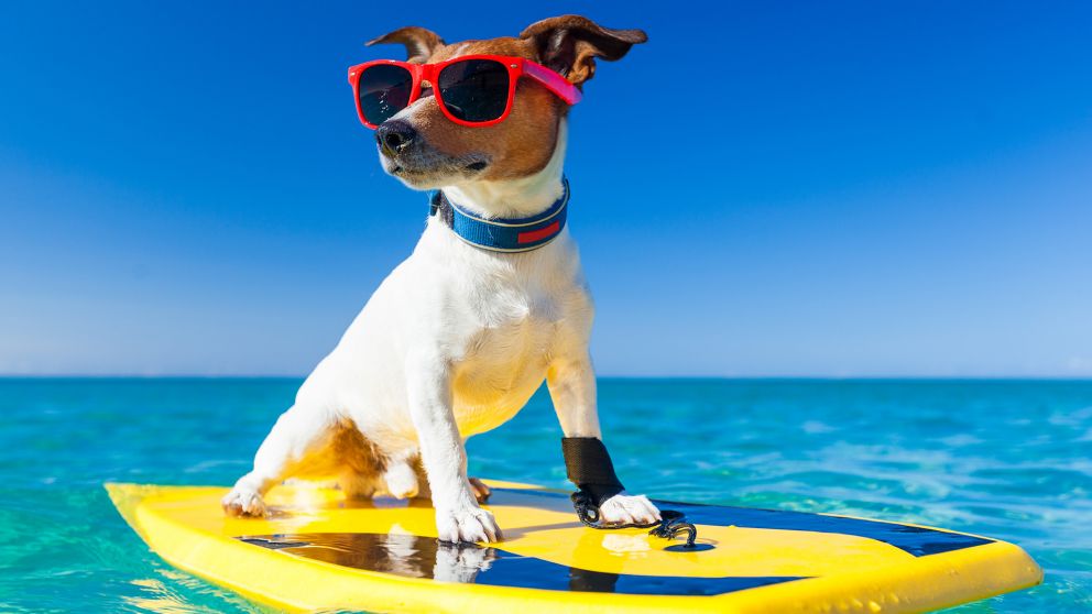 Vacaciones, todo lo que tenés que saber.