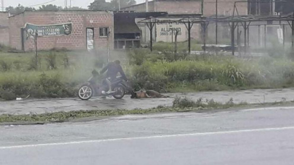 Bestia arrastró a perrita con la moto y la abandonó ensangrentada