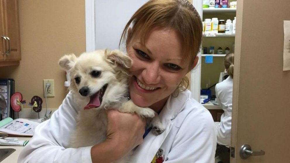 Veterinaria fusiló al bulldog del vecino porque ladraba