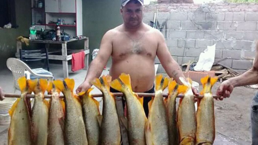 De esta triste manera se muestran los dorados, algo lamentable.