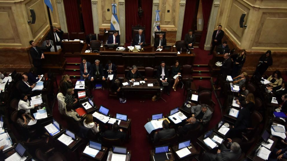 Media sanci�n en Senado. (DyN)