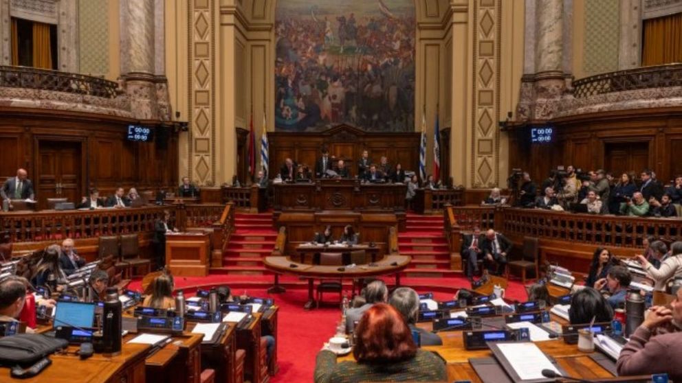 La Cámara de Representantes de Uruguay aprobó por mayoría el proyecto de “Muerte digna”.